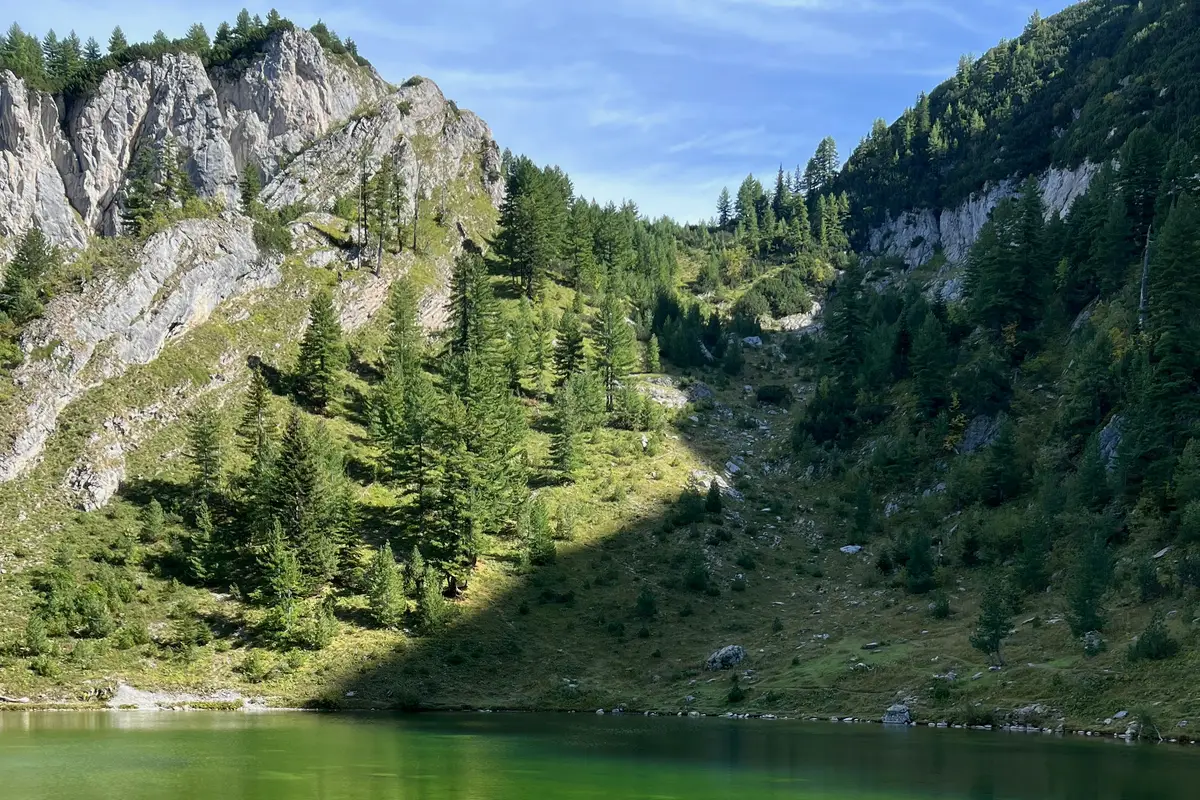 Towar na start: 21 800 zł